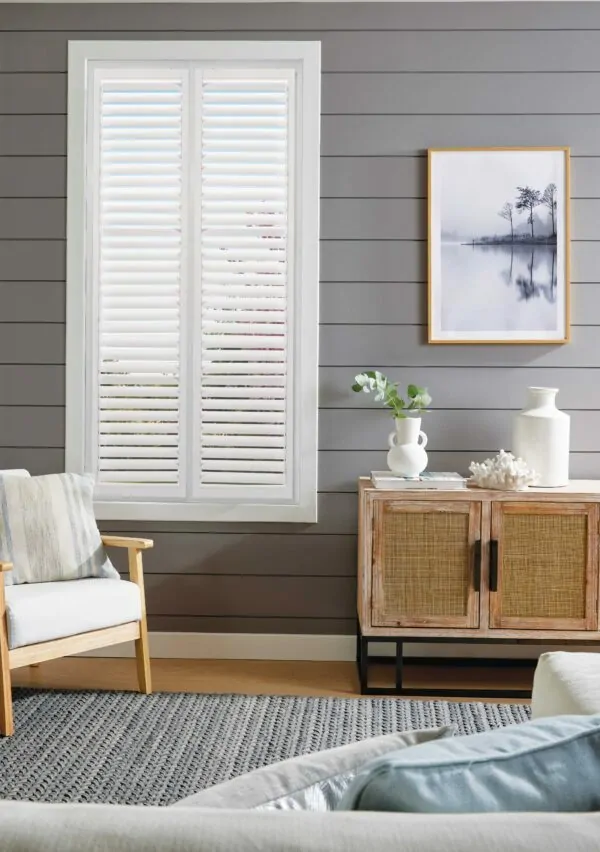 Cleaning and maintenance of shutter blinds